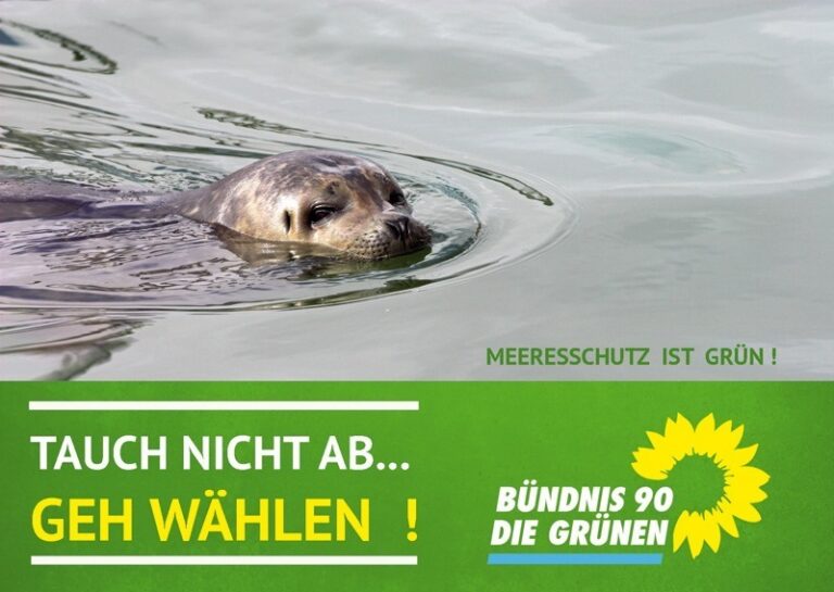 Wie funktioniert eigentlich die Stimmverteilung bei der Kommunalwahl?